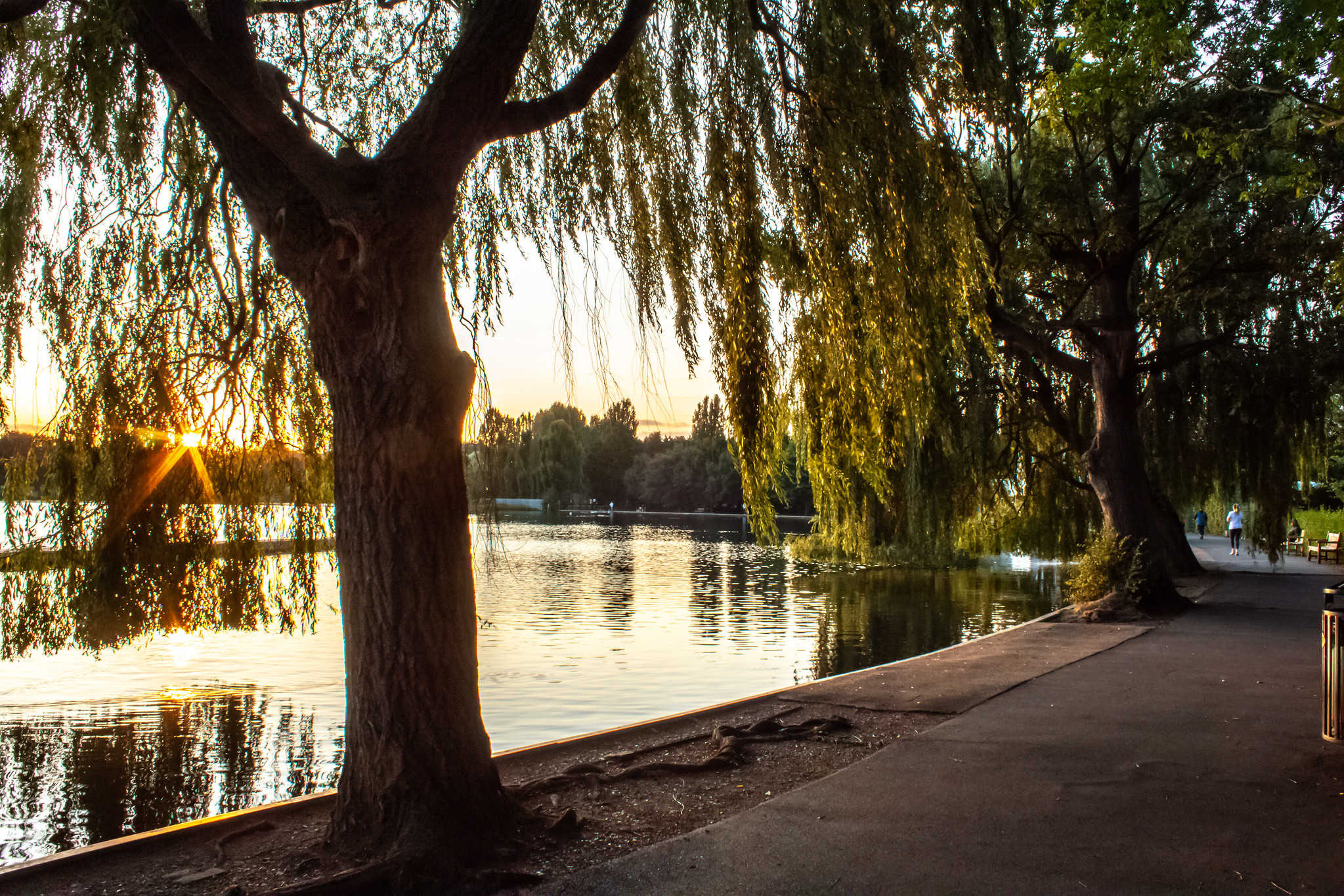 Lakeside path in Wimbledon Park at sunset, with willow trees and reflections across the water.